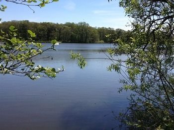 Cleveley Mere Luxury Waterside Lodges Scorton  Eksteriør bilde